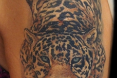Леопард-с-лого